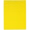 Plymor 12" x 15", Yellow 2 Mil Zipper Reclosable Plastic Bags
